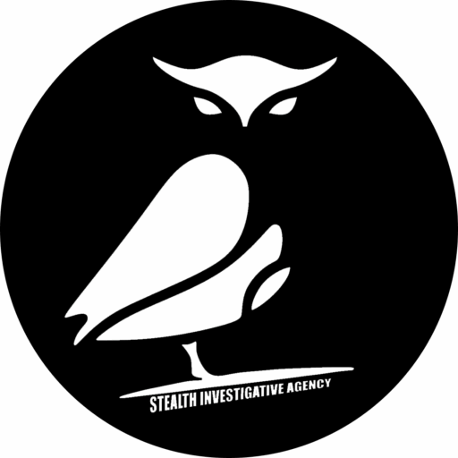 Stealth Investigative Agency